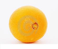 Orange Navel - Procesadora Laran S.A.C